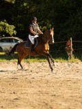 DSC08413 DSC08413