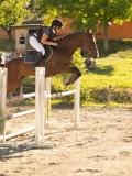 DSC08415 DSC08415