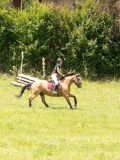 24_03292 24_03292
