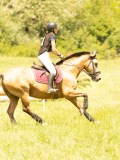 DSC00125 DSC00125