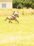 DSC00142 DSC00142