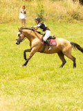 DSC00152 DSC00152