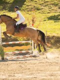 DSC08186 DSC08186