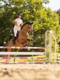 DSC08187 DSC08187