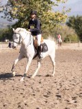 DSC03134 DSC03134