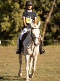 DSC05187 DSC05187