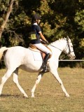 DSC05193 DSC05193