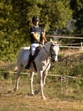 DSC05194 DSC05194