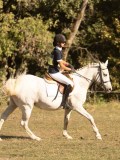 DSC05199 DSC05199