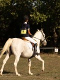 DSC05203 DSC05203