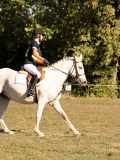 DSC05206 DSC05206