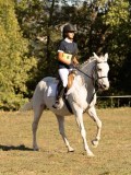 DSC05210 DSC05210