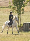 DSC06443 DSC06443
