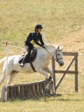 DSC06445 DSC06445