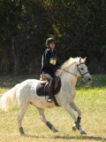DSC06446 DSC06446