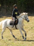 DSC06447 DSC06447