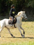 DSC06448 DSC06448