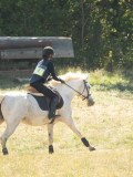 DSC06450 DSC06450