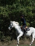 DSC_5793 DSC_5793