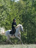DSC_5801 DSC_5801