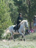 DSC_5802 DSC_5802