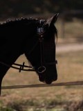 DSC01541 DSC01541