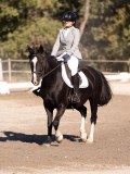 DSC01546 DSC01546