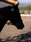 DSC01551 DSC01551