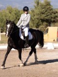 DSC01554 DSC01554