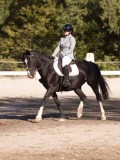 DSC01558 DSC01558