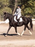 DSC01560 DSC01560