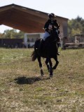 DSC04949 DSC04949