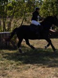 DSC04951 DSC04951