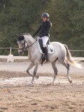 DSC02805 DSC02805