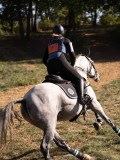 DSC05187 DSC05187
