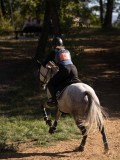 DSC05188 DSC05188