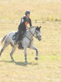 DSC06875 DSC06875