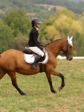 DSC05716 DSC05716