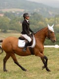 DSC05717 DSC05717