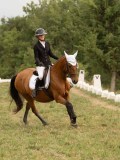 DSC05718 DSC05718