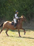 DSC06655 DSC06655