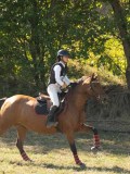 DSC06656 DSC06656