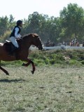 DSC_5989 DSC_5989