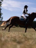 DSC04690