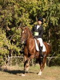 DSC05498 DSC05498