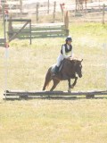 DSC06595 DSC06595