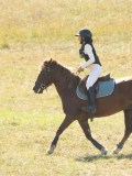 DSC06599 DSC06599