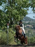 DSC_5953 DSC_5953