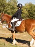 DSC05155 DSC05155