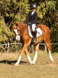 DSC05158 DSC05158